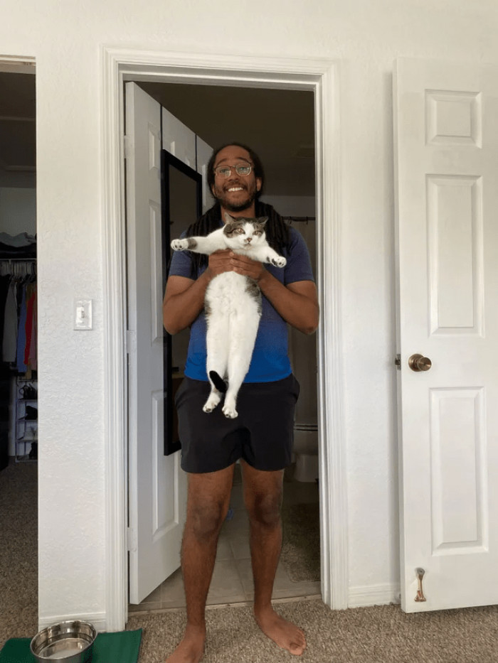 14. How to get swiped right on dating apps: take a picture with your furball