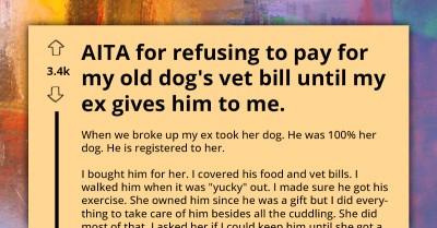 Man's Fight For Dog Custody Amidst Relationship Fallout