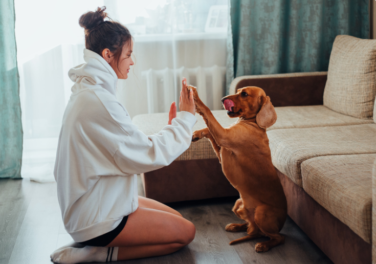 If you live alone, you just can't help but talk to your dog more.