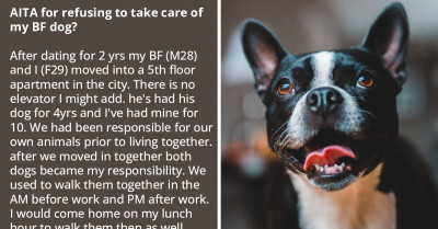 After Moving In With Her BF, Redditor Discovers How Lazy And Irresponsible Her BF Is, He Made Her The Primary Provider And Caretaker Of His Dog