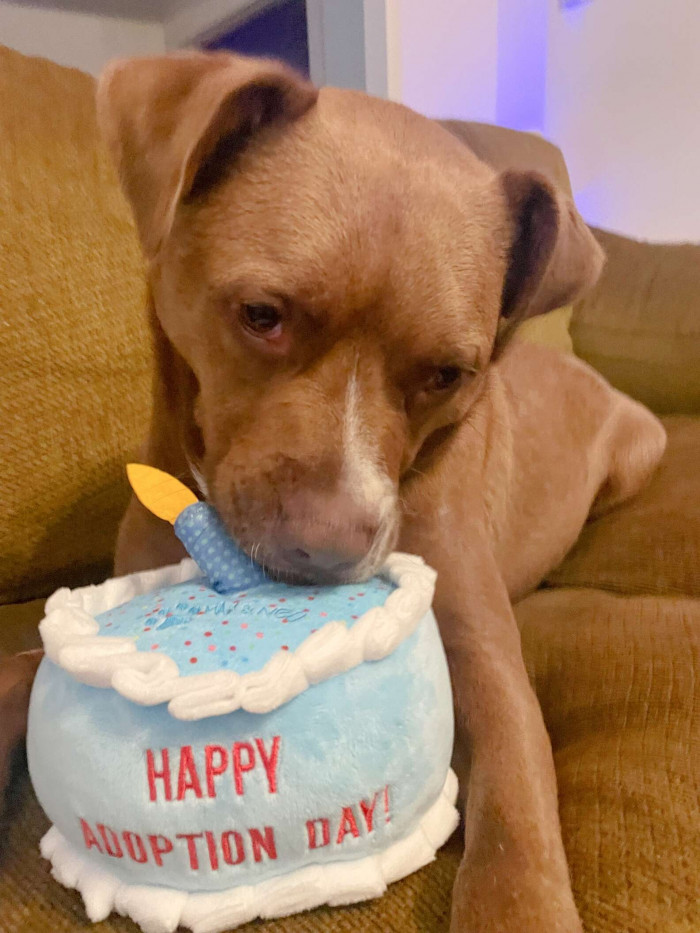 “They even went on some outings together: going to the park, the pet store, and even to her home.”