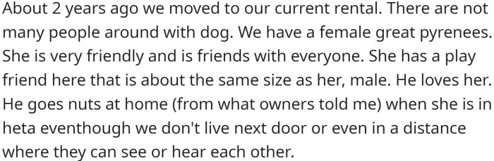 OP has a female dog, and she has a play buddy. However, she is in heat now, and things have changed