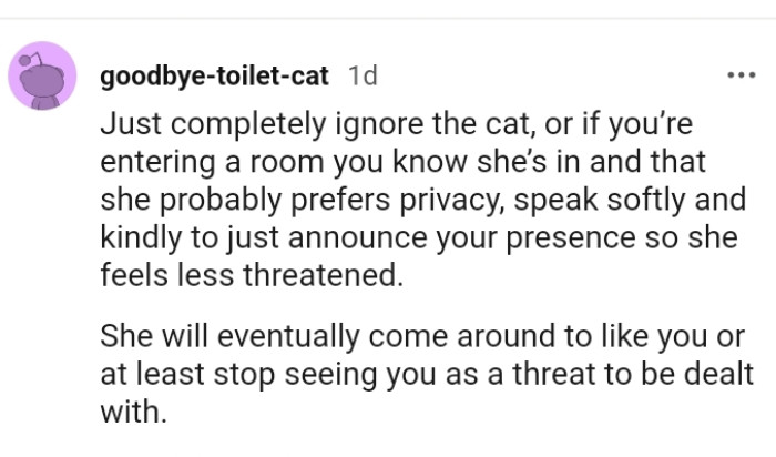 This Redditor believes that the cat will eventually come around to like the OP