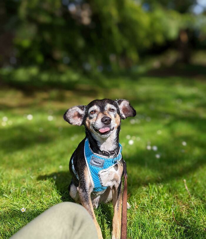 26. Mid-sneeze photos are the best!