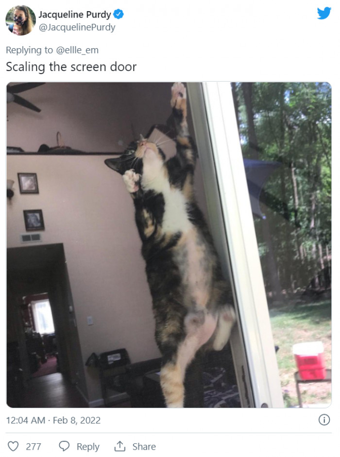 17. Just another normal day.