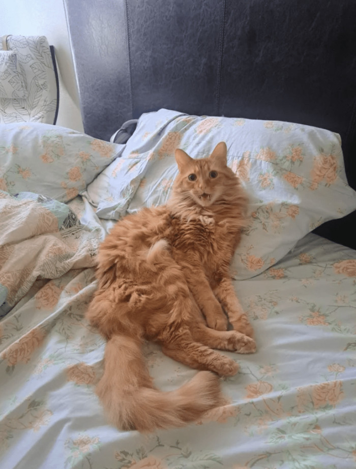 "Ten is angered at being awoken"