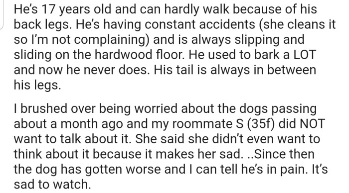 OP's roommate has a 17-year-old dog who has started showing signs that his time is almost up