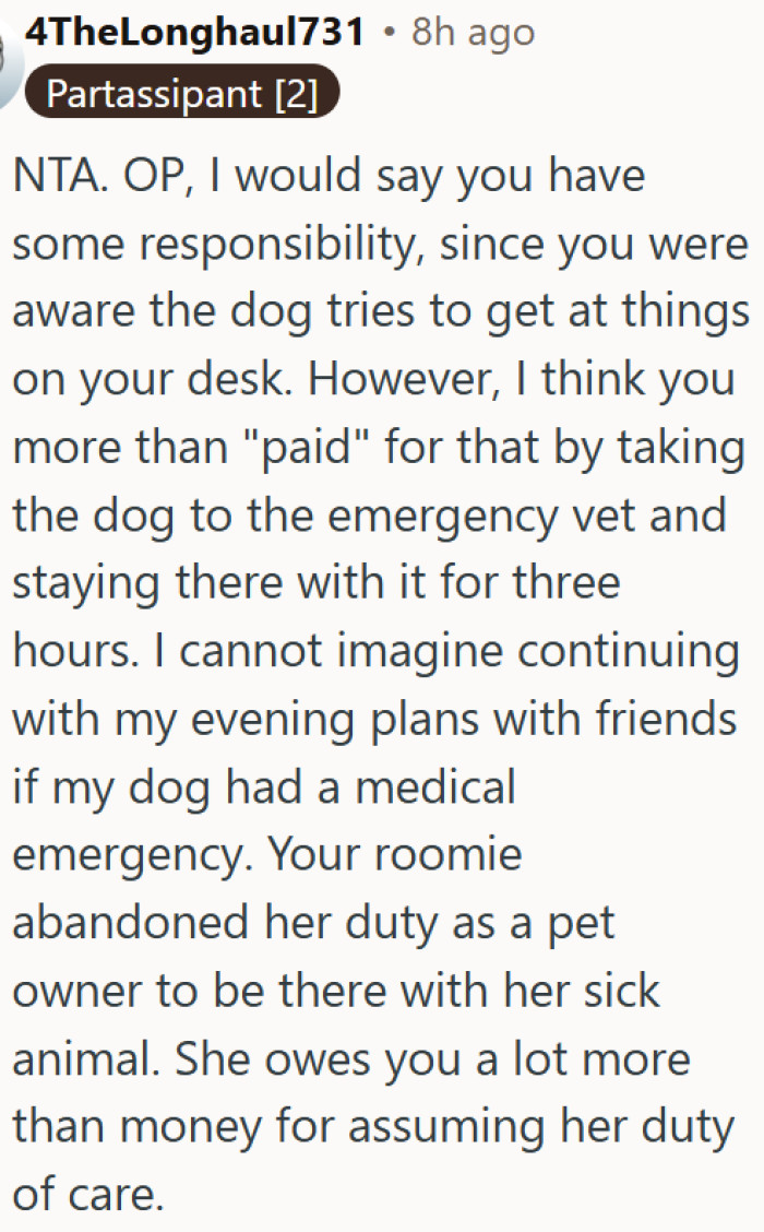 Roommate abandoned her sick dog for a night out and has the nerve to point fingers
