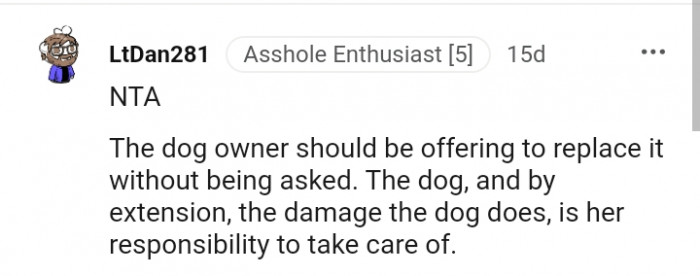 The dog is her responsibility to take care of, including what the dog damages