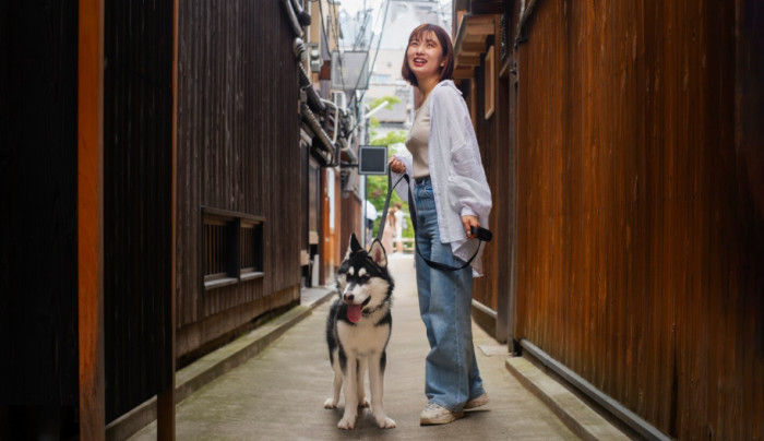 Popular Japanese-Style Dog Names