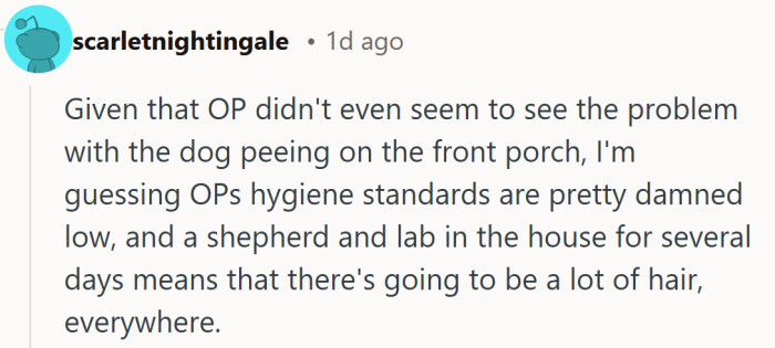 Nothing like a shepherd, a lab, and one porch puddle to spark a full hygiene debate.