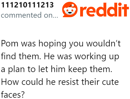 Their Pomsky probably wanted to keep the cuties.