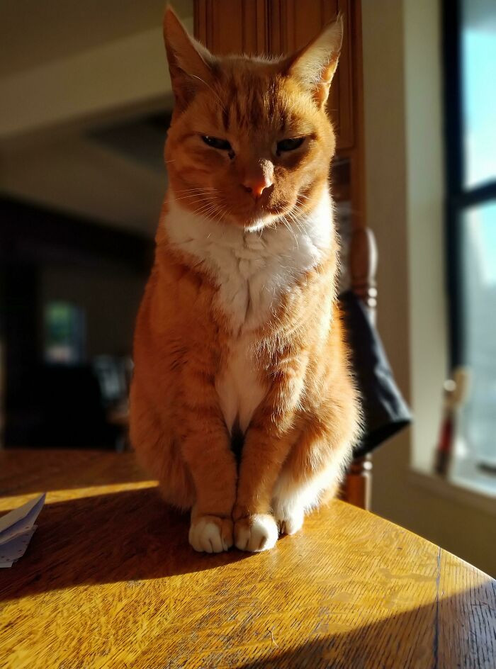 44. Fireball Is His Name