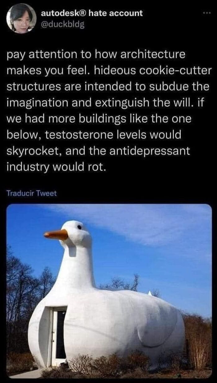 39. But...no windows.