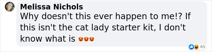 Yep, that's one way to put it: a cat lady starter kit.