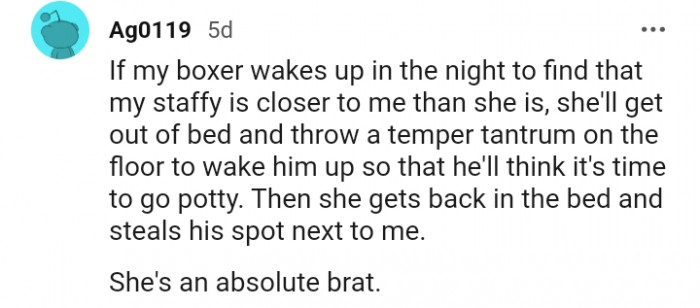 18. A dog who throws a tantrum