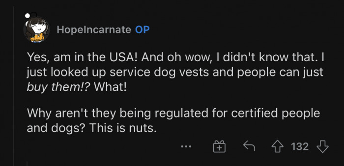 The vest is not necessary for service dogs in the United States.