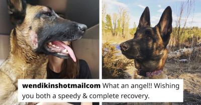 Brave Dog, Eva, Risked Her Life To Save Her Owner From A Mountain Lion Attack