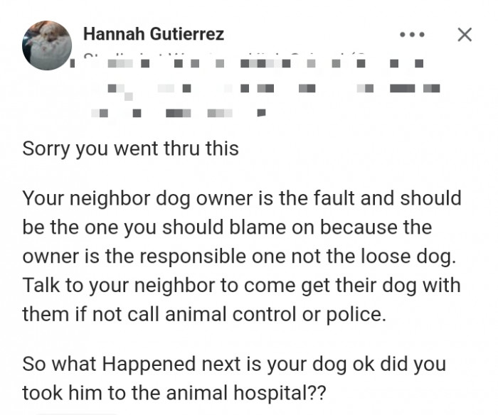 Quora Users Offer Interesting Solutions To Someone Whose Dog Was Attacked  And Bitten By The Neighbor's Vicious Dog While They Were On A Walk