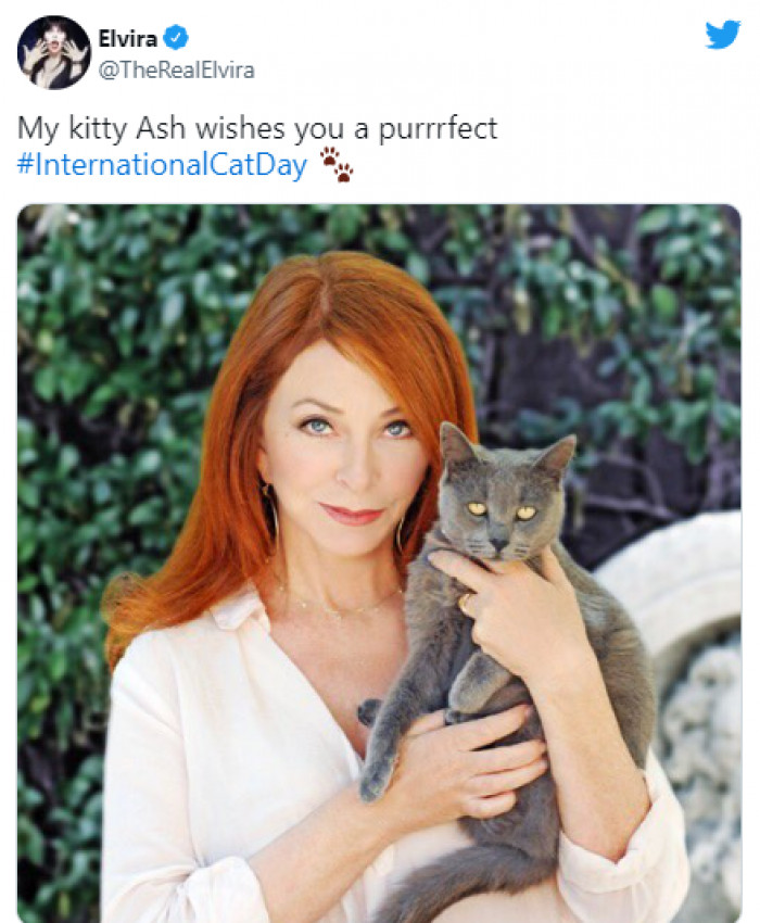 12. Elvira (Cassandra Peterson) poses with her PURRfect pal: