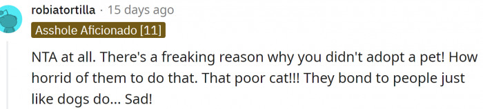 Cats bond with people. Fifteen years is enough to bond even with a rock, let alone a living being.