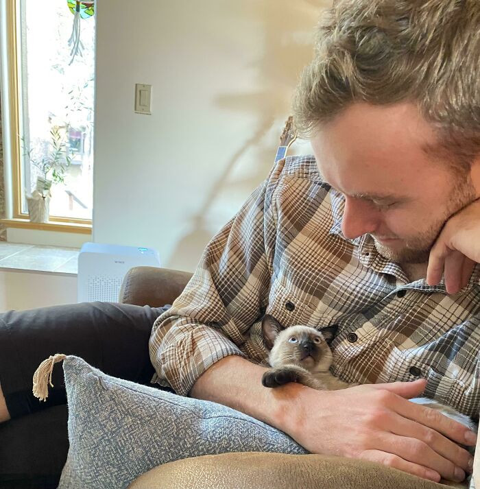 3. “We’ll Just Go To The Humane Society For A Look Around”