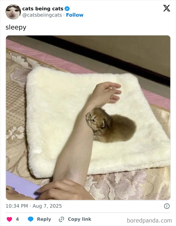 41. Just a crumb of arm warmth, please.