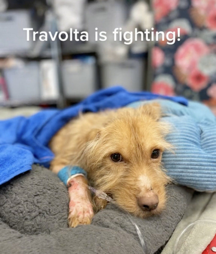 He doesn't look like he's giving up anytime soon