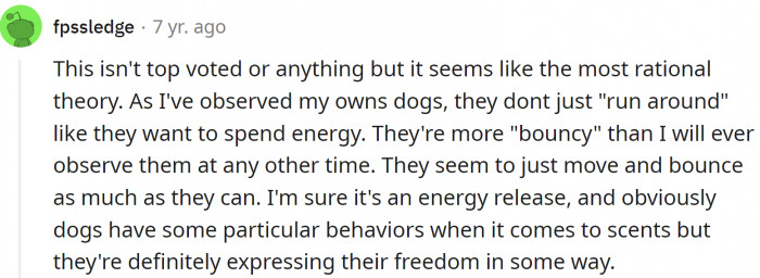 It is not frantic - it looks more like a carefully planned activity to burn as much energy as possible