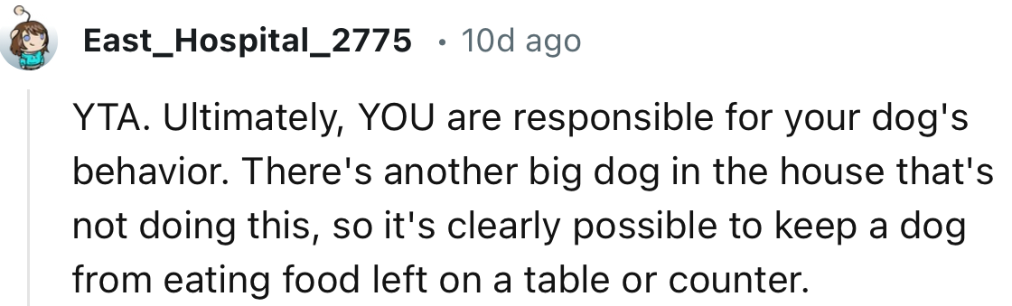 “YOU are responsible for your dog's behavior. There's another big dog in the house that's not doing this.”