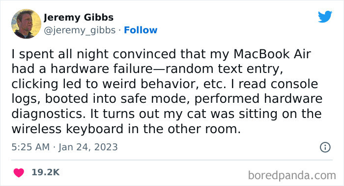 17. Your cat is just messing with you