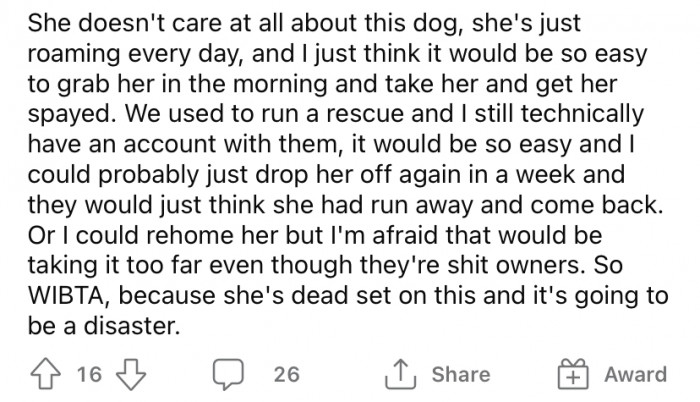 The OP said she's convinced that her cousin doesn't care about this dog at all, and she is considering kidnapping the dog to have her spayed.