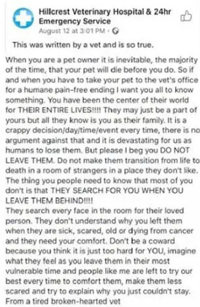 In response to Jessi Dietrich's viral tweet, Hillcrest Veterinary Hospital, a medical facility for animals located in KwaZulu-Natal, South Africa, issued a poignant message echoing similar sentiments.