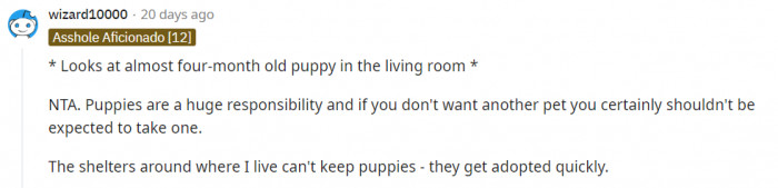 A fellow puppy owner claimed that they're actually a lot of work.