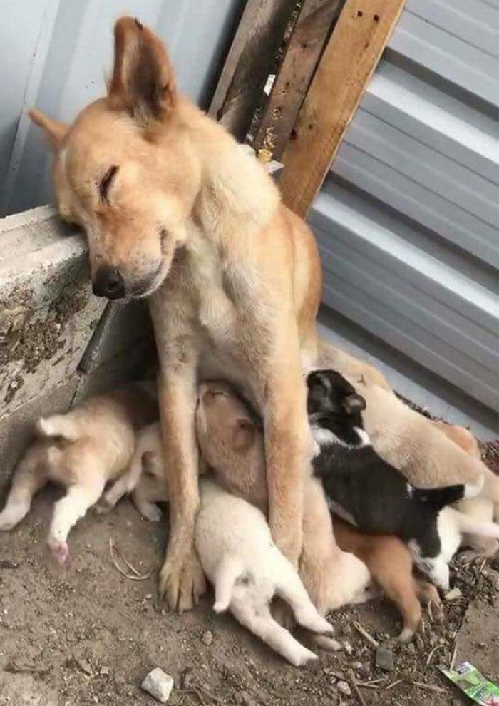 28. Using the Opportunity for a Nap: