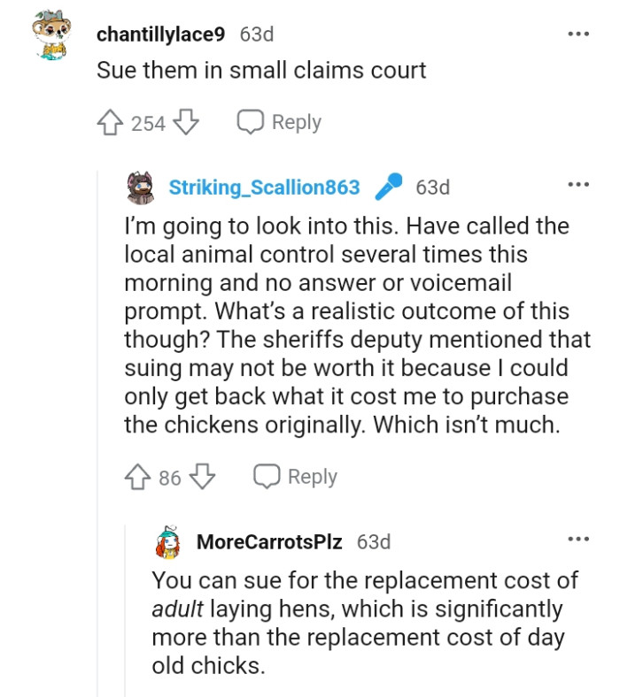 The OP has called local animal control several times, but there was no answer or voicemail prompt