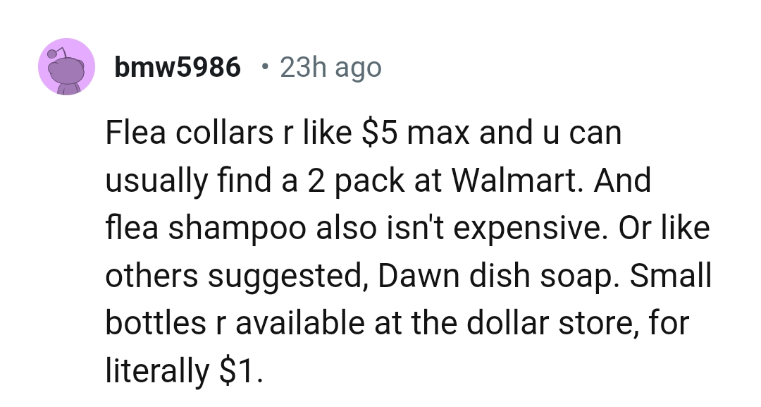 Flea collars are not expensive and she can get some