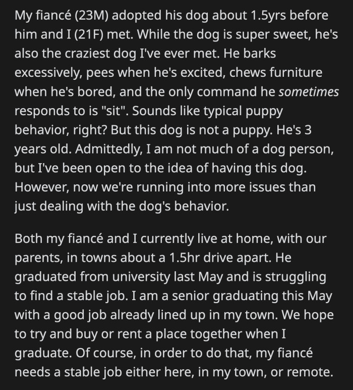 They are not willing to have him move in with the dog, and that's the problem