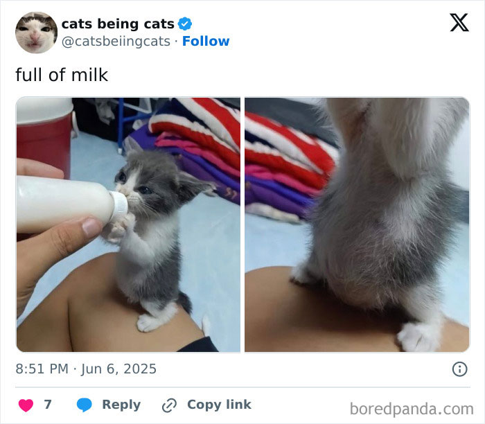 4. Drank three bottles and now filing for a nap-induced coma.