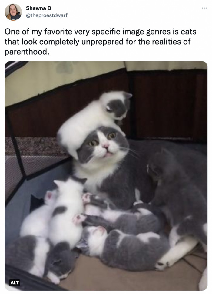 5. You should have warned me about the dangers of having kids, hooman