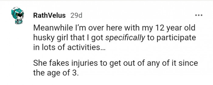 My husky girl fakes injuries