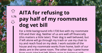 Roommate's Dog Ate Chocolate Left On A Desk - Now There's A Fight Over The Vet Bill