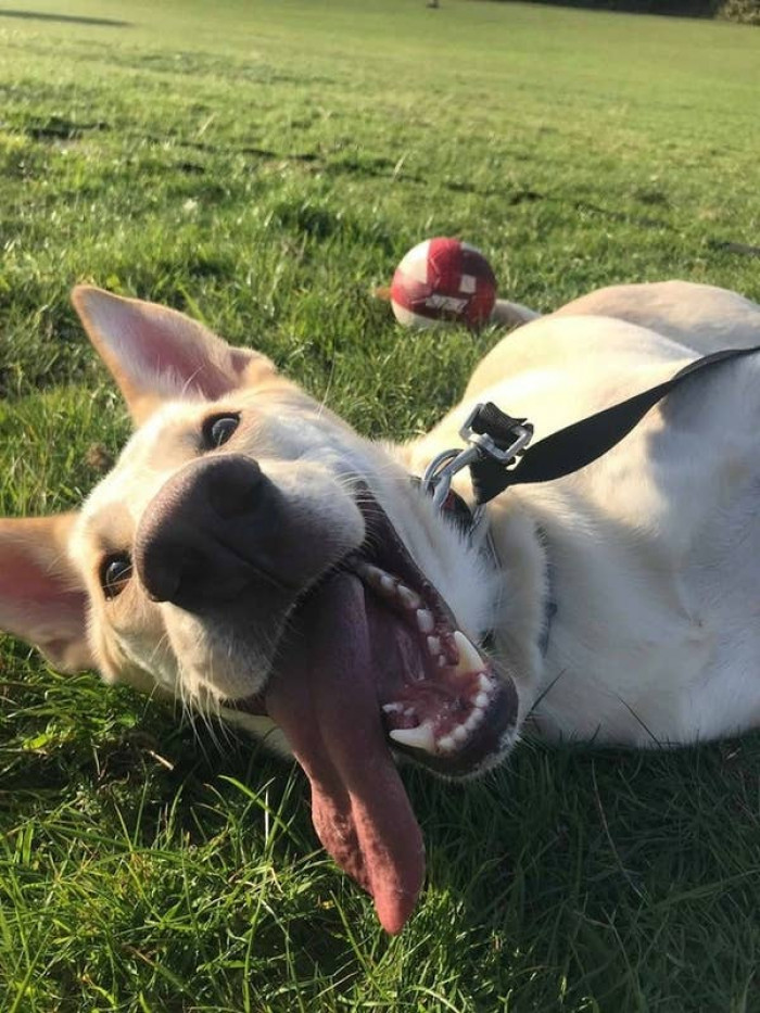 4. "BEST. DAY. EVER."