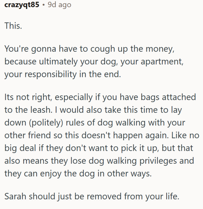 "Ultimately, your dog, your apartment, your responsibility in the end."