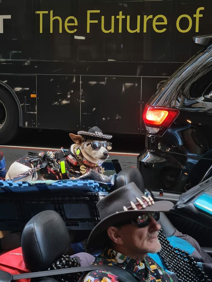 48. I Ran To Capture This. Matchy Matchy! Sydney Aus