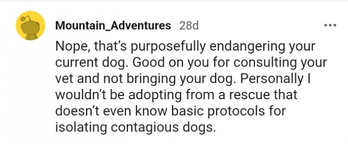 Good on you for consulting your vet