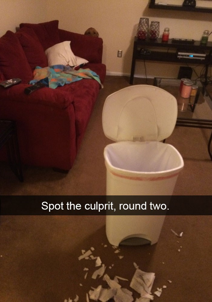 12. Ah, that look of regret...