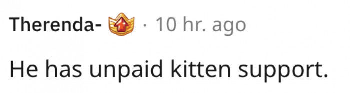 An unpaid kitten support