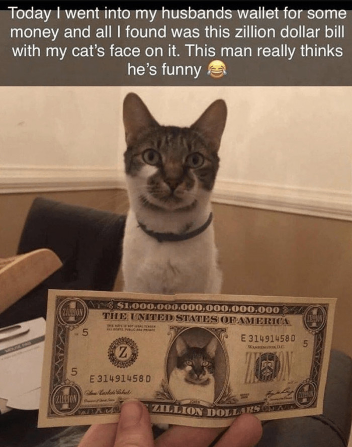 14. Well, that's how much this cat is worth to this man... Understandable...