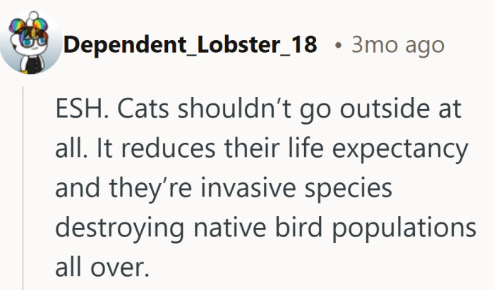 Nothing pulls the conversation wider than someone pointing out that every outdoor cat is basically a tiny apex predator.
